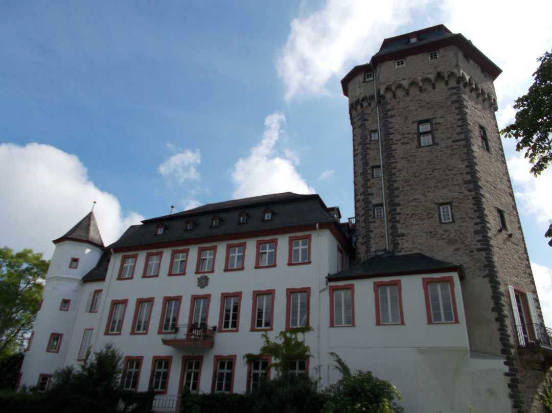 Schloss Martinsburg景点图片