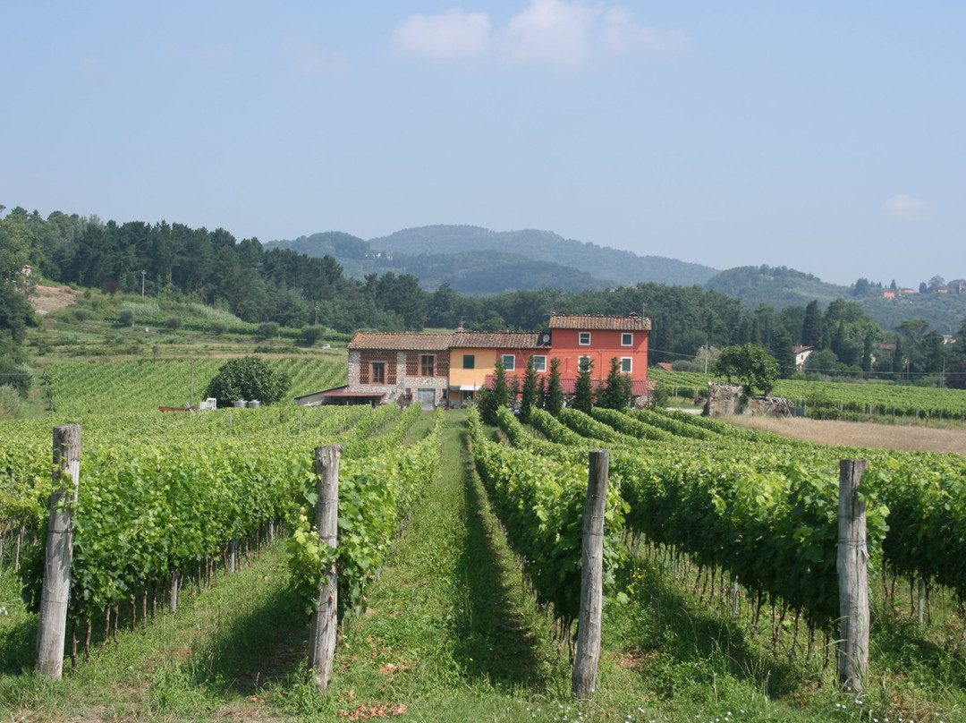 Fattoria Al Dotto景点图片