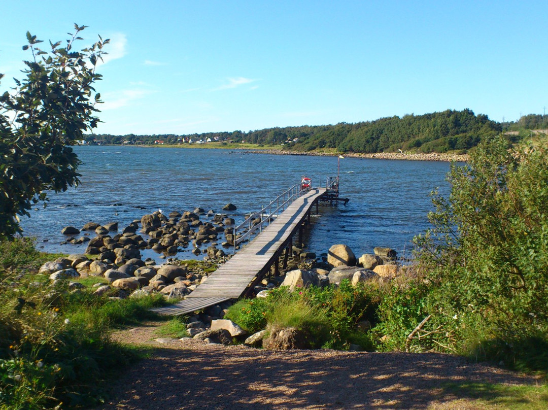 Vejbystrand旅游攻略图片