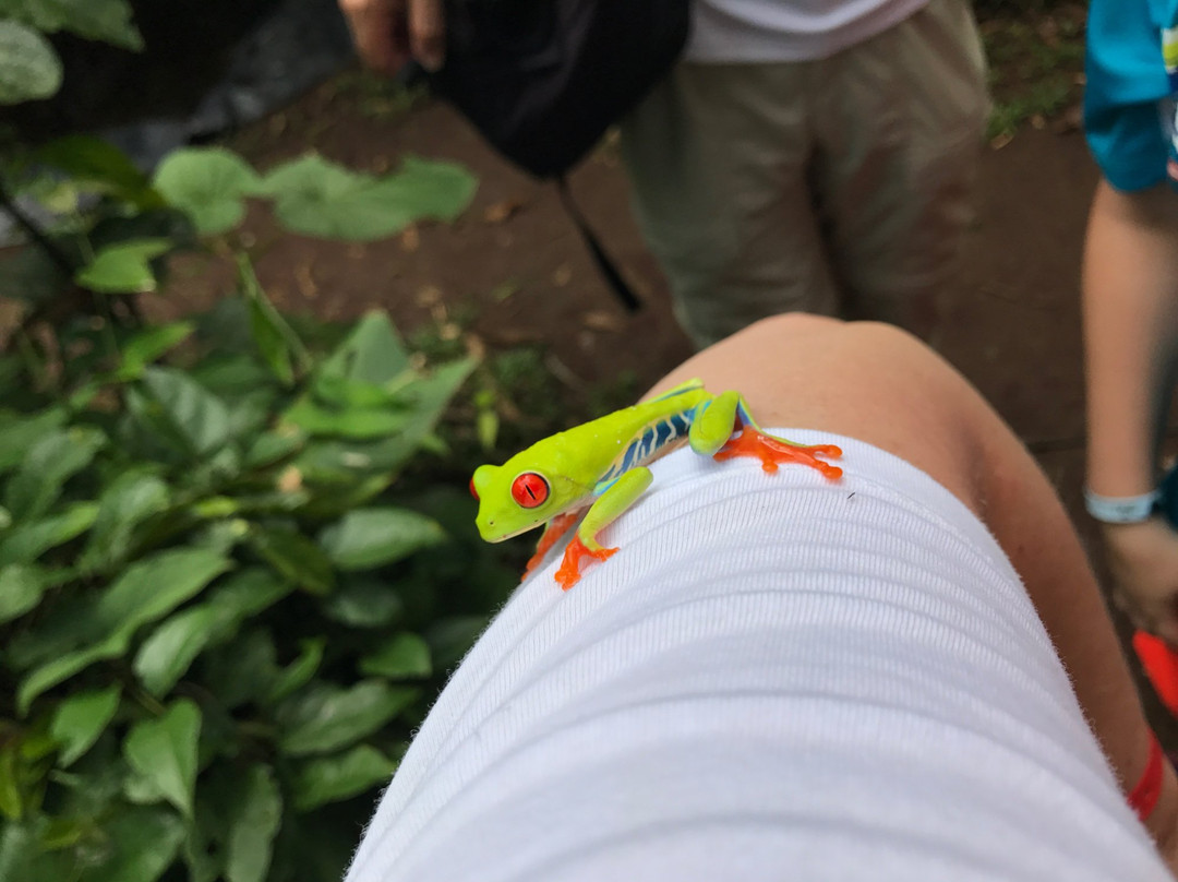 Costa Rica Unique Transfers and Tours-利比里亚必去景点