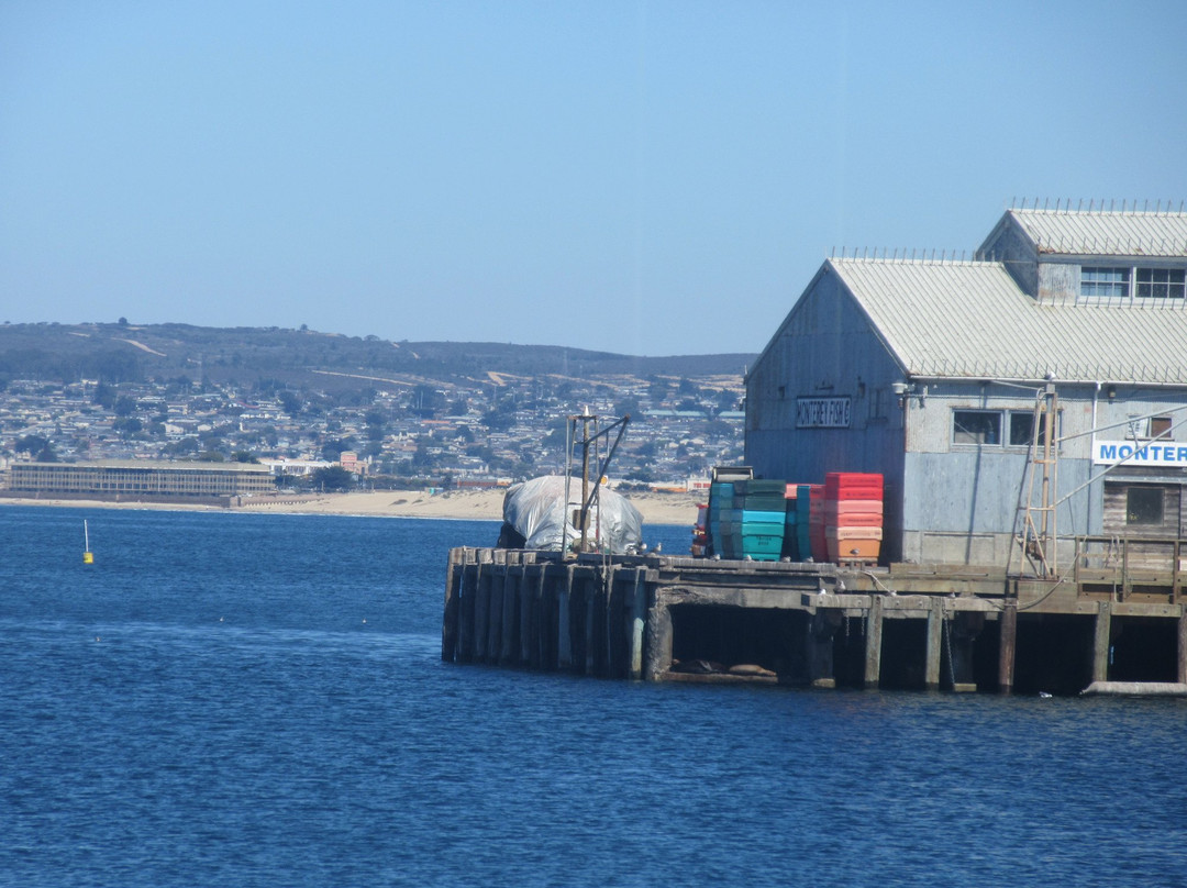 Monterey Municipal Wharf 2景点图片