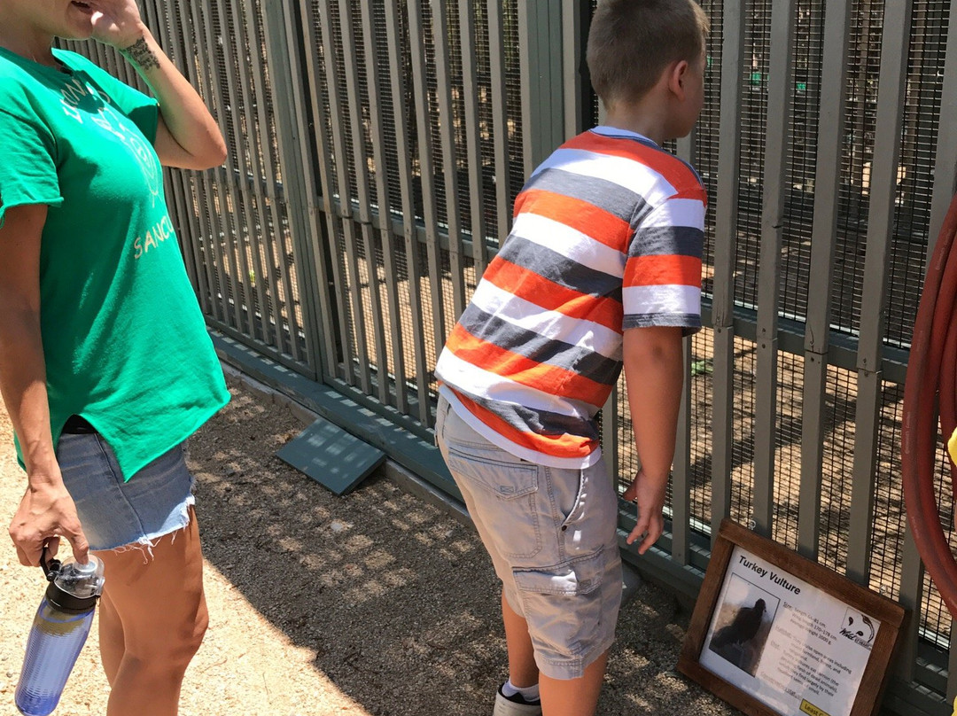 Wild at Heart-洞溪必去景点