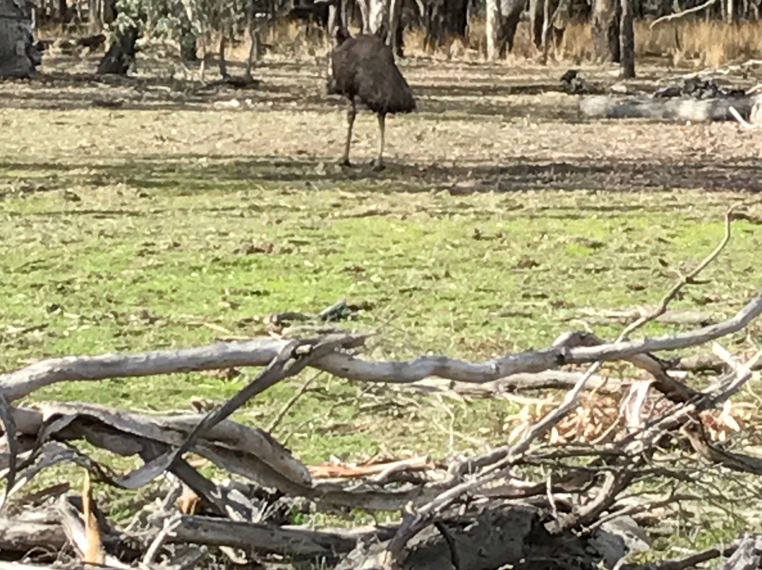 Barmah National Park-Barmah必去景点