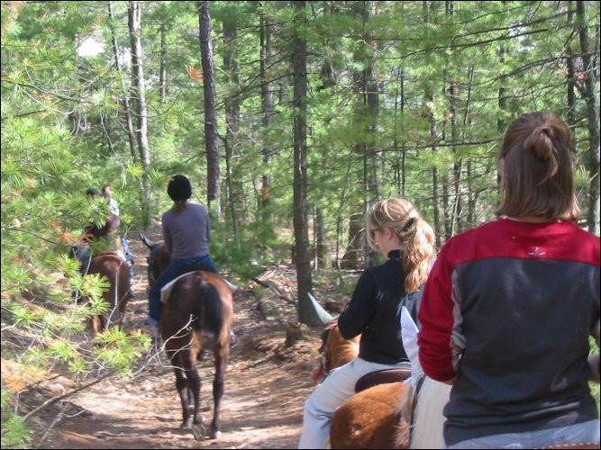 Lucky 7 Stables-Londonderry必去景点