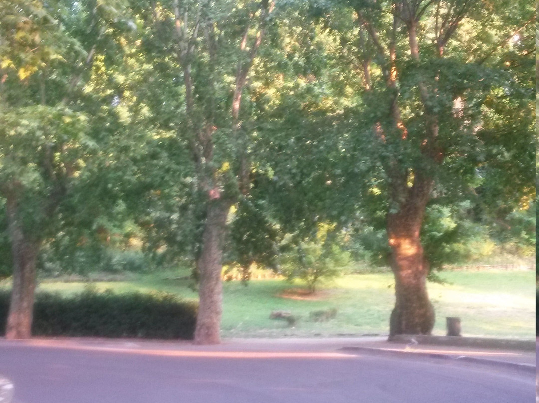 Parco Colline Moreniche di Castiglione景点图片