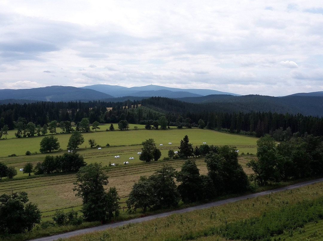 Mesto Albrechtice旅游攻略图片