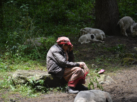 Soul Mountain Expeditions-西姆拉必去景点