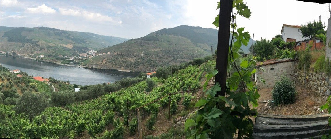 Tomas Barqueiro主图