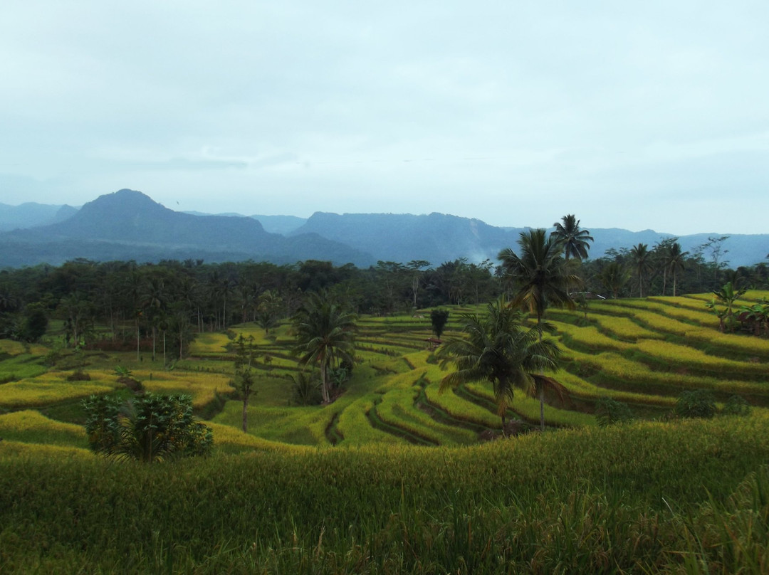 Bule Homestay Cianjur-Cianjur必去景点