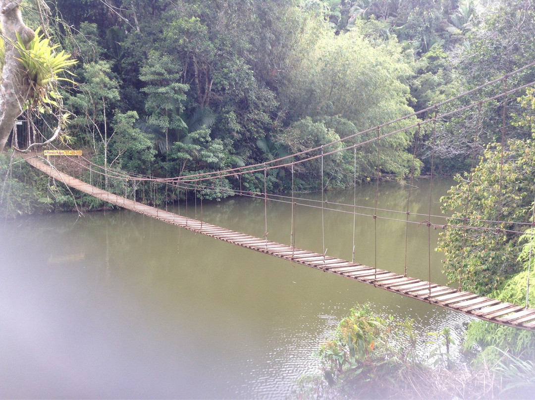 Puente La Hamaca-Adjuntas必去景点