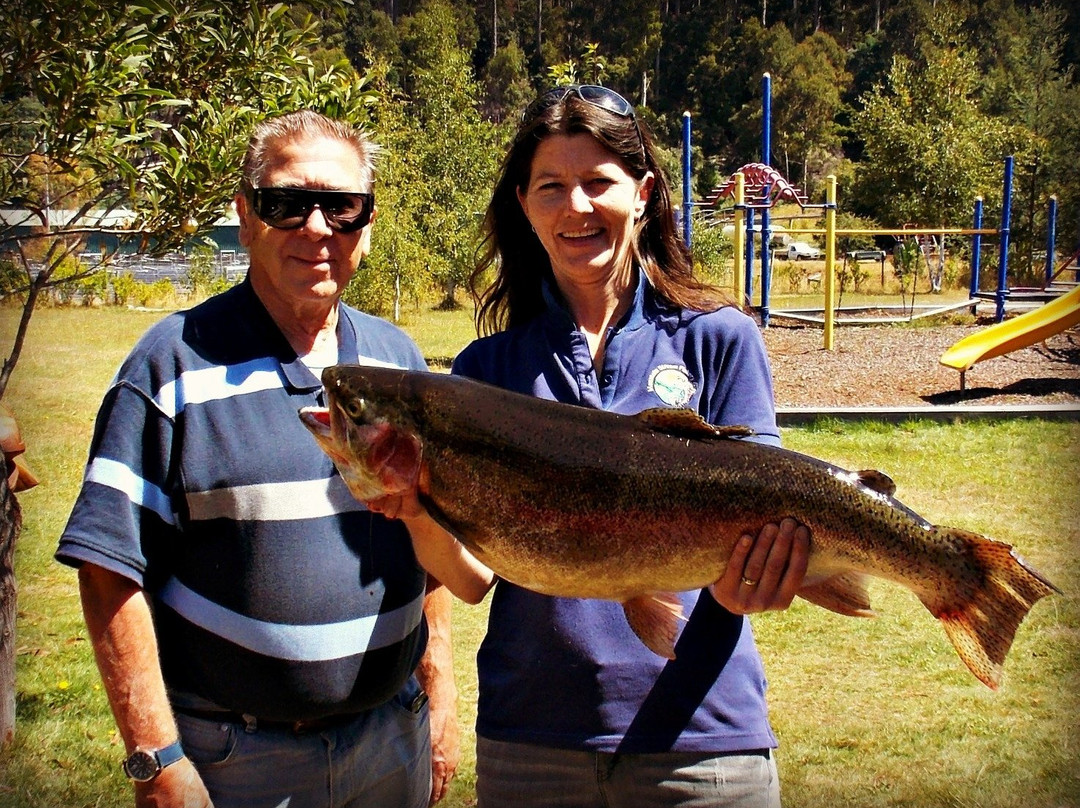 Mountain Stream Fishery-Targa必去景点