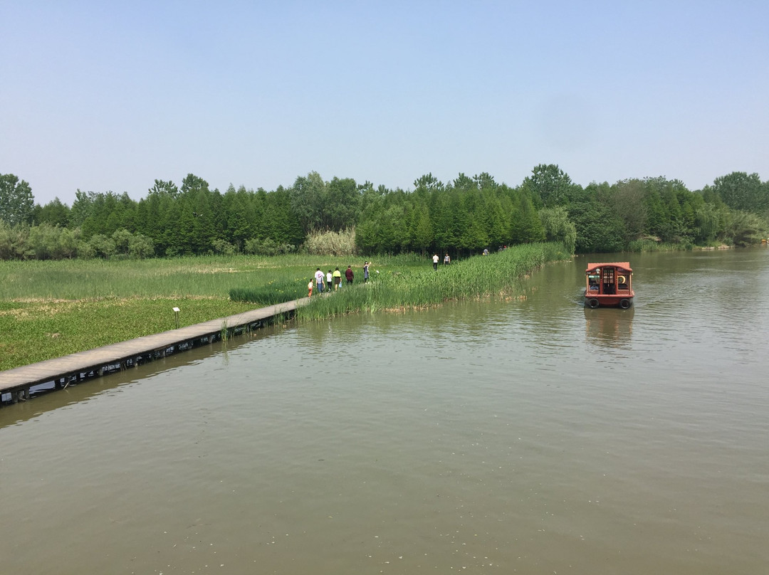 泰州溱湖湿地农业生态园-姜堰市必去景点