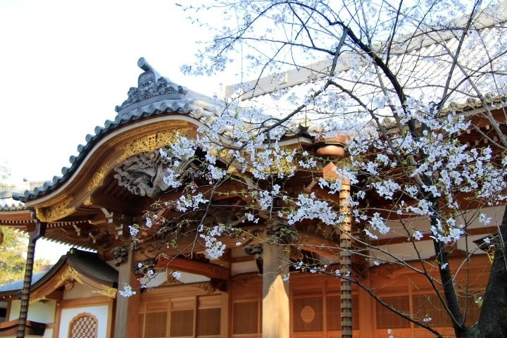 Renjo-ji Temple-武藏野市必去景点