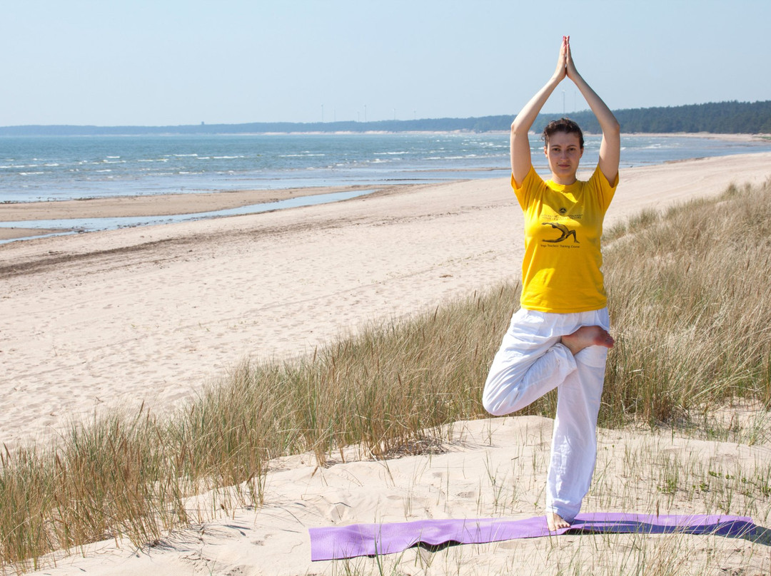 Saaremaa Rannahotell ' Beach Hotel主图