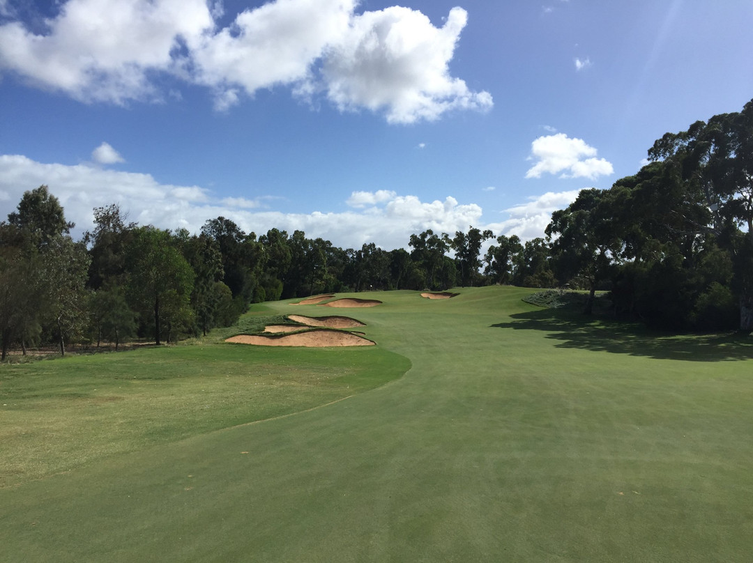 Kooyonga Golf Club景点图片
