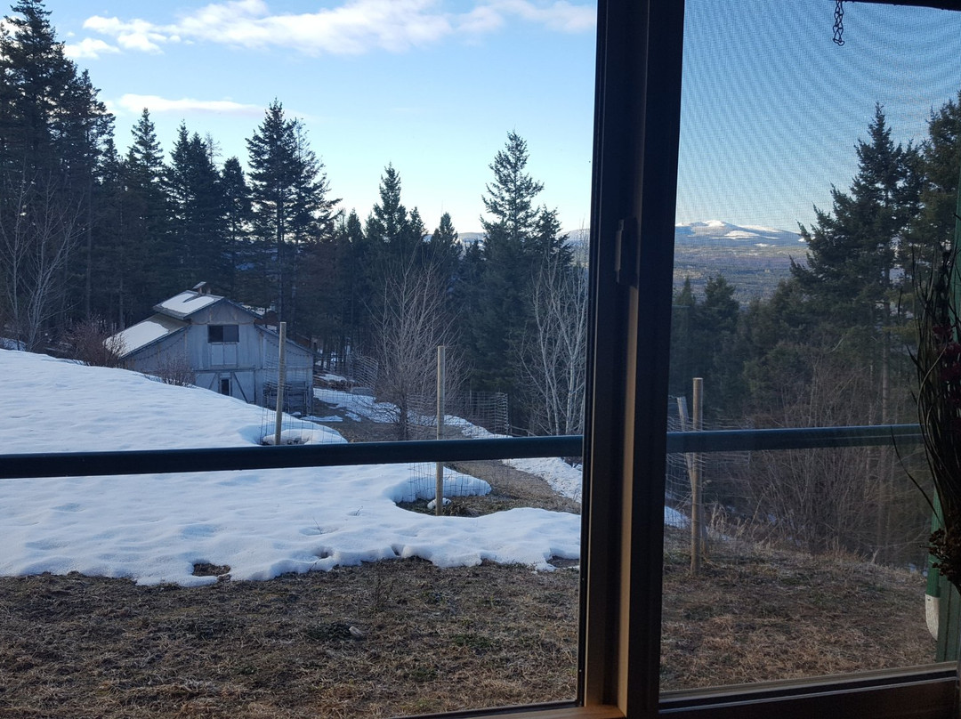 Wild Nature B&B主图