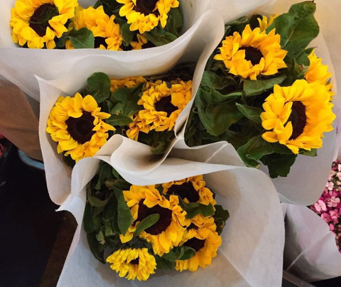 岭南花卉市场-广州市必去景点