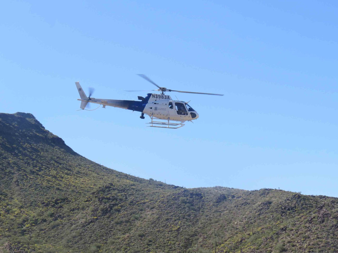Cabeza Prieta National Wildlife Refuge-Ajo必去景点