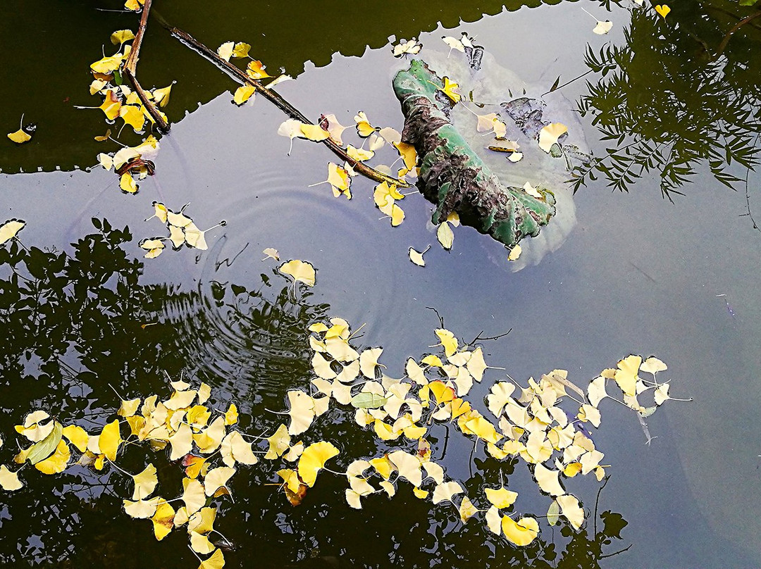 米公祠-襄阳市必去景点
