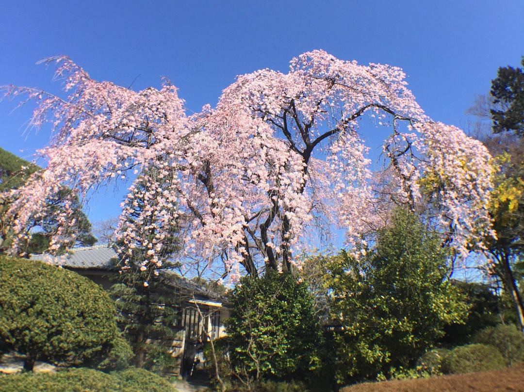 川越市旅游攻略图片