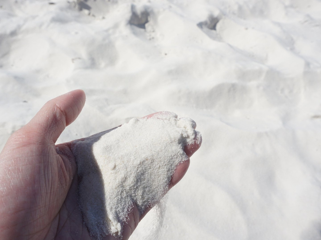 Seabob Jet Australia-凯恩斯必去景点