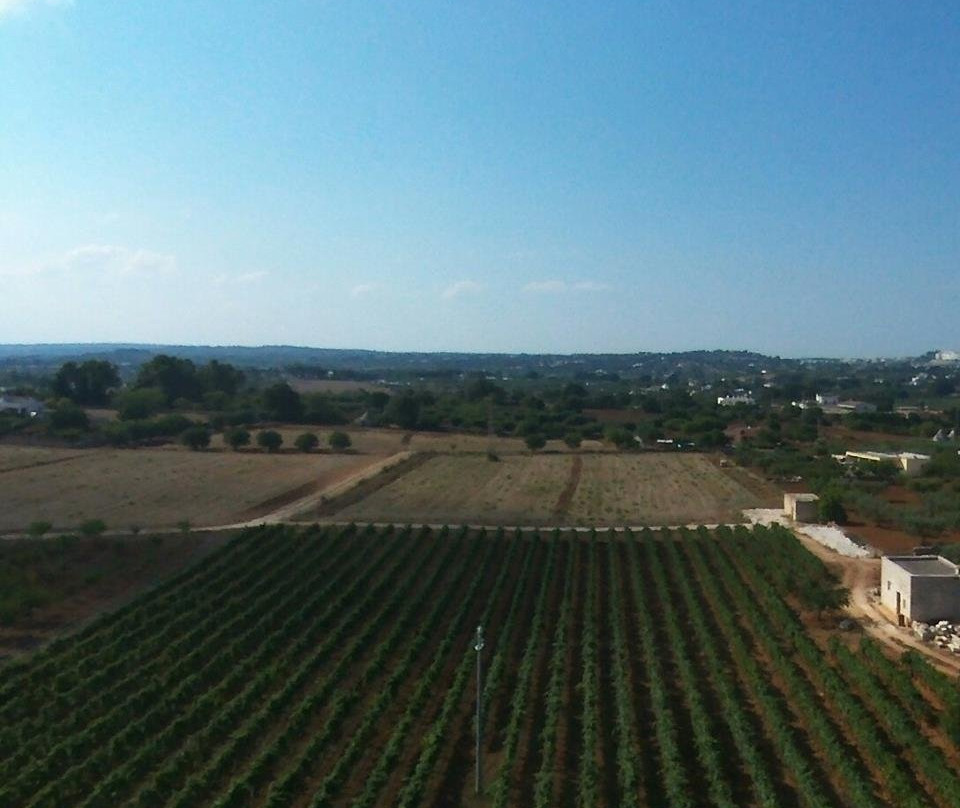 Casa Vinicola Rosato-马丁纳弗兰卡必去景点