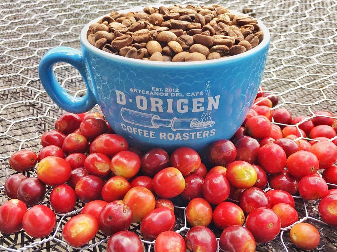 D•Origen Coffee Roasters