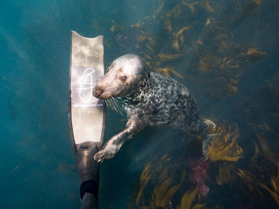 Aquacity Freediving-赫尔斯顿必去景点