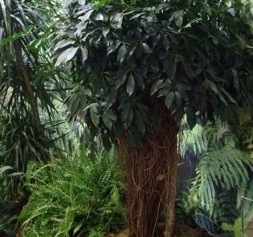 Naturama Science Center-Martignacco必去景点