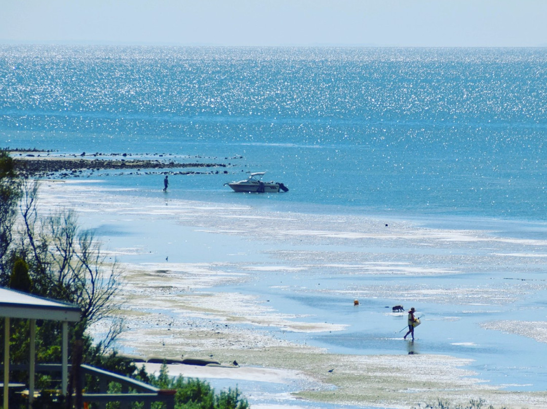 Ardrossan旅游攻略图片