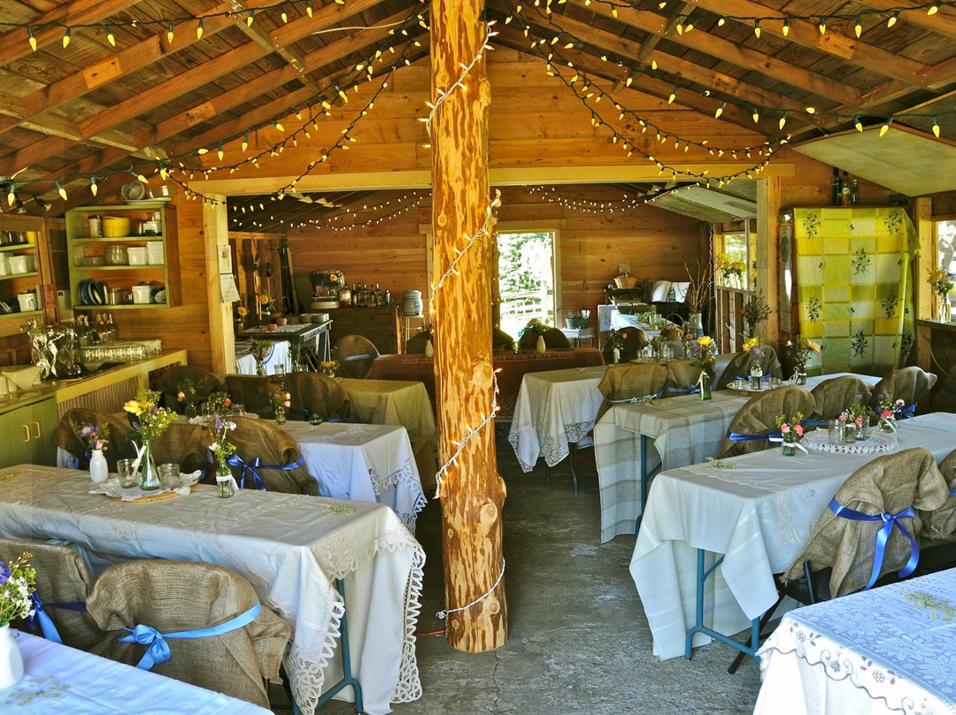Foxglove Farm