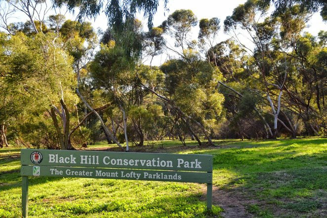 Adelaide Hills Tourist Drive 51-Campbelltown必去景点