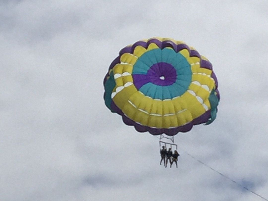 Port Stephens Parasailing-尼尔森湾必去景点