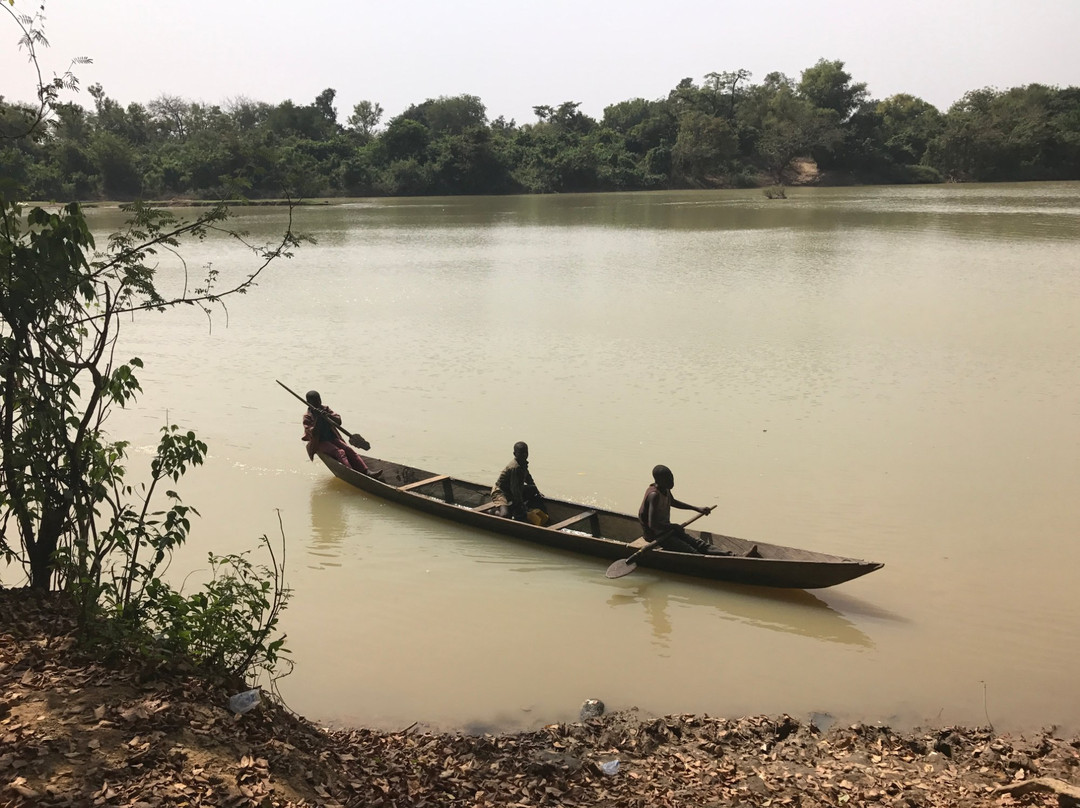Wechiau Community Hippo Sanctuary-Wa必去景点