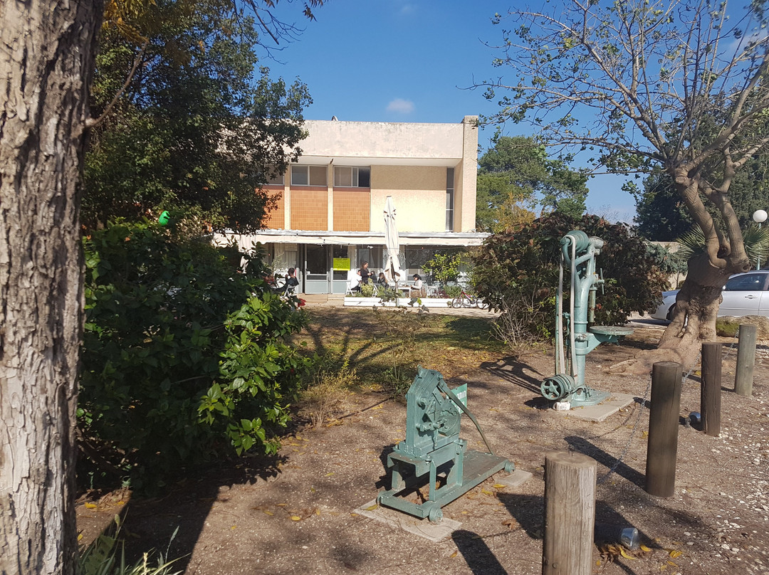 Tulkarm餐馆和美食-Grazia