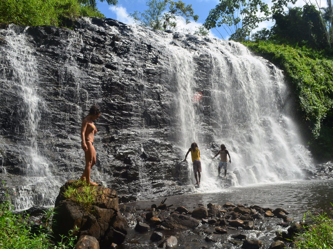 Bicho-preguiça Ecoturismo-Itacare必去景点