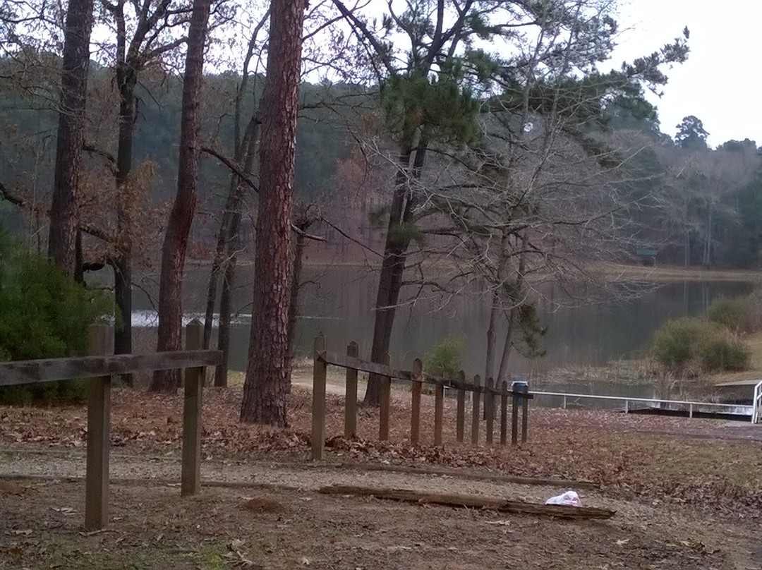 Upper City Lake-Palestine必去景点