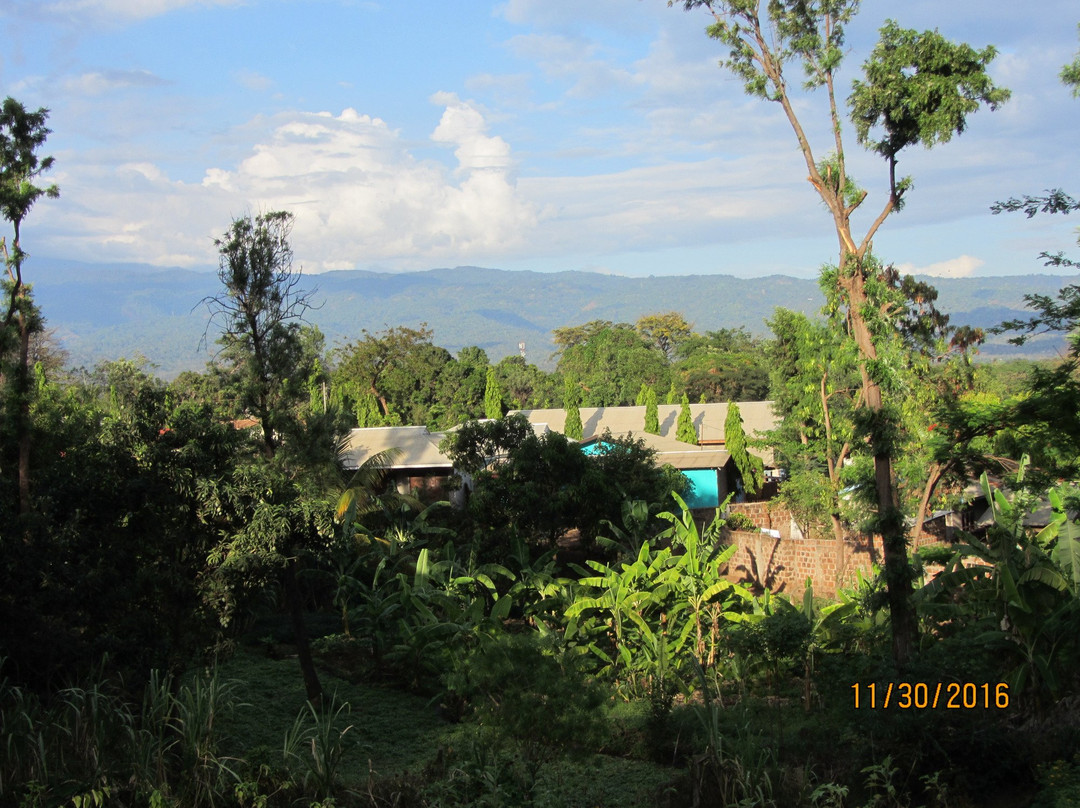 Kilitanzania Pride Tours and Safaris景点图片