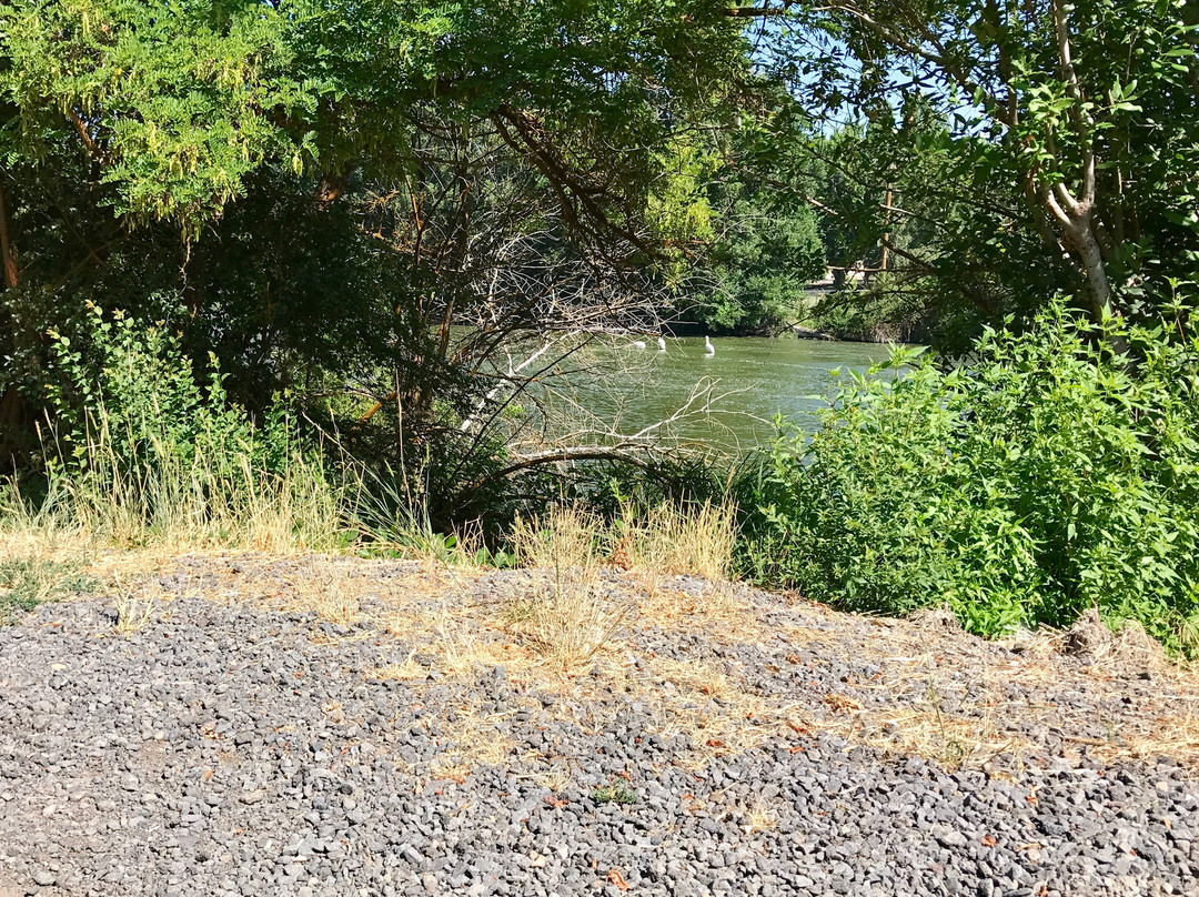 Link River Trail-克拉马斯福尔斯必去景点