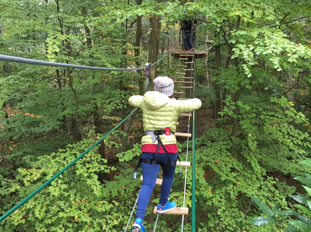 Go Ape Chessington-Chessington必去景点