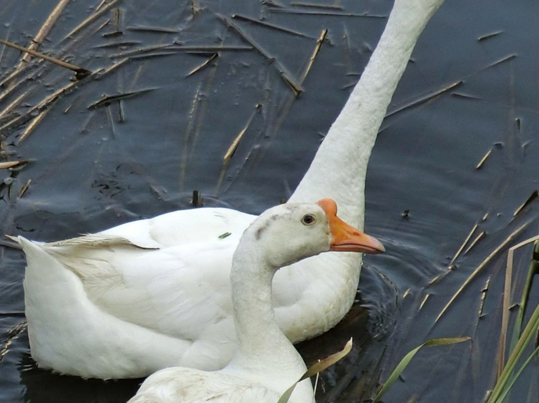 陶渊明宾馆主图