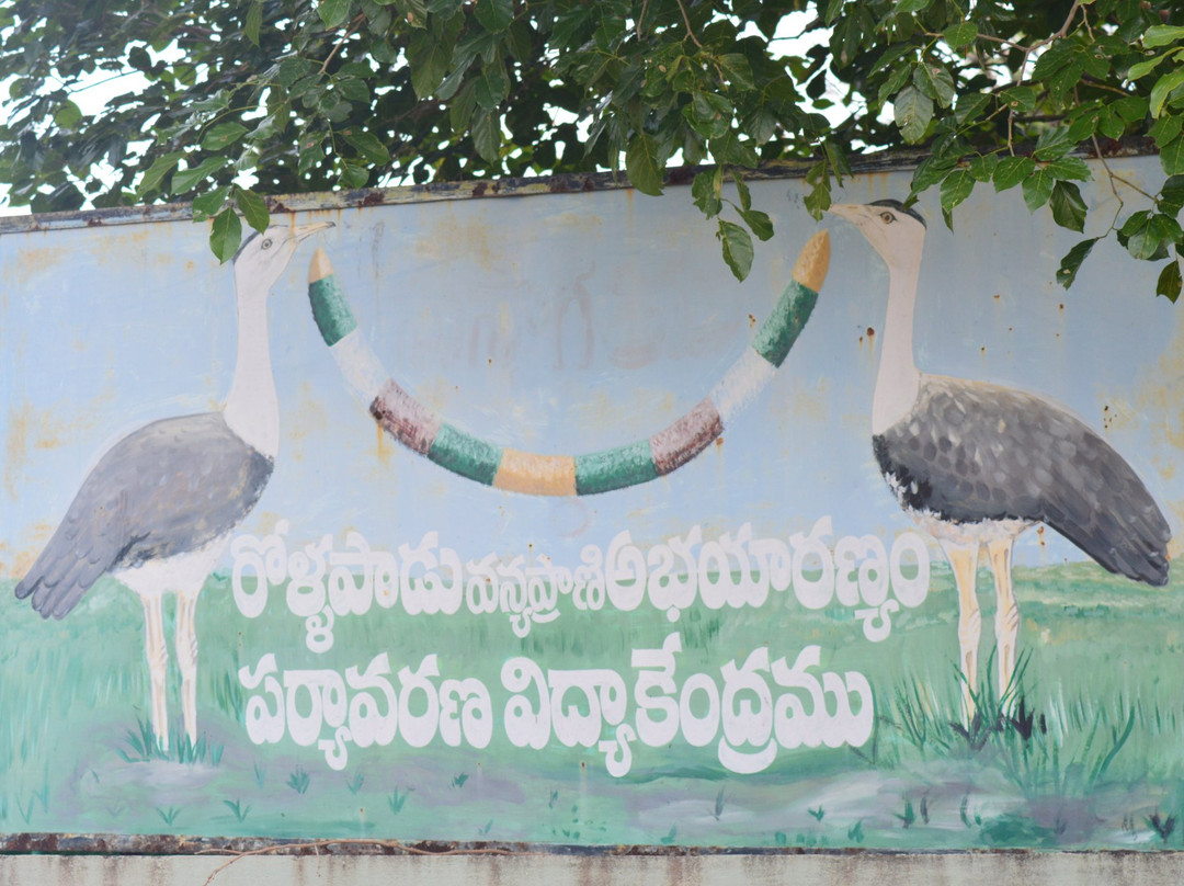 Rollapadu Wildlife Sanctuary-Kurnool必去景点