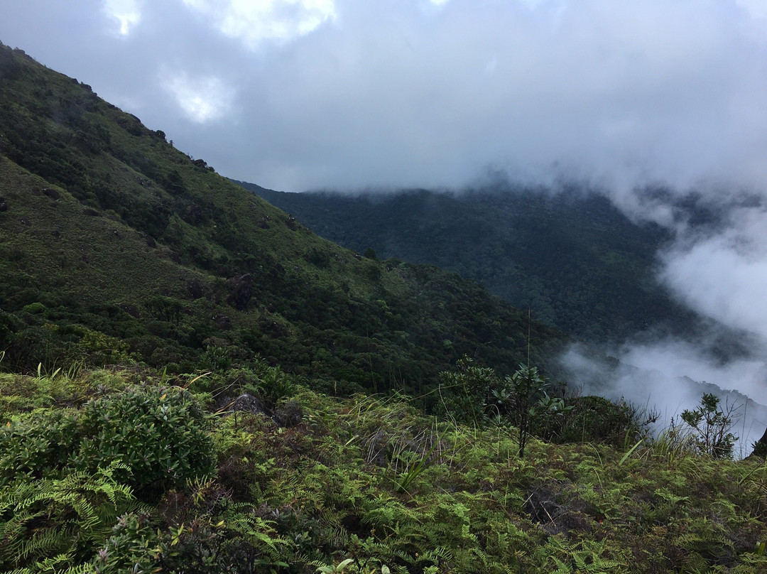 Mount Bartle Frere- 阿瑟顿必去景点