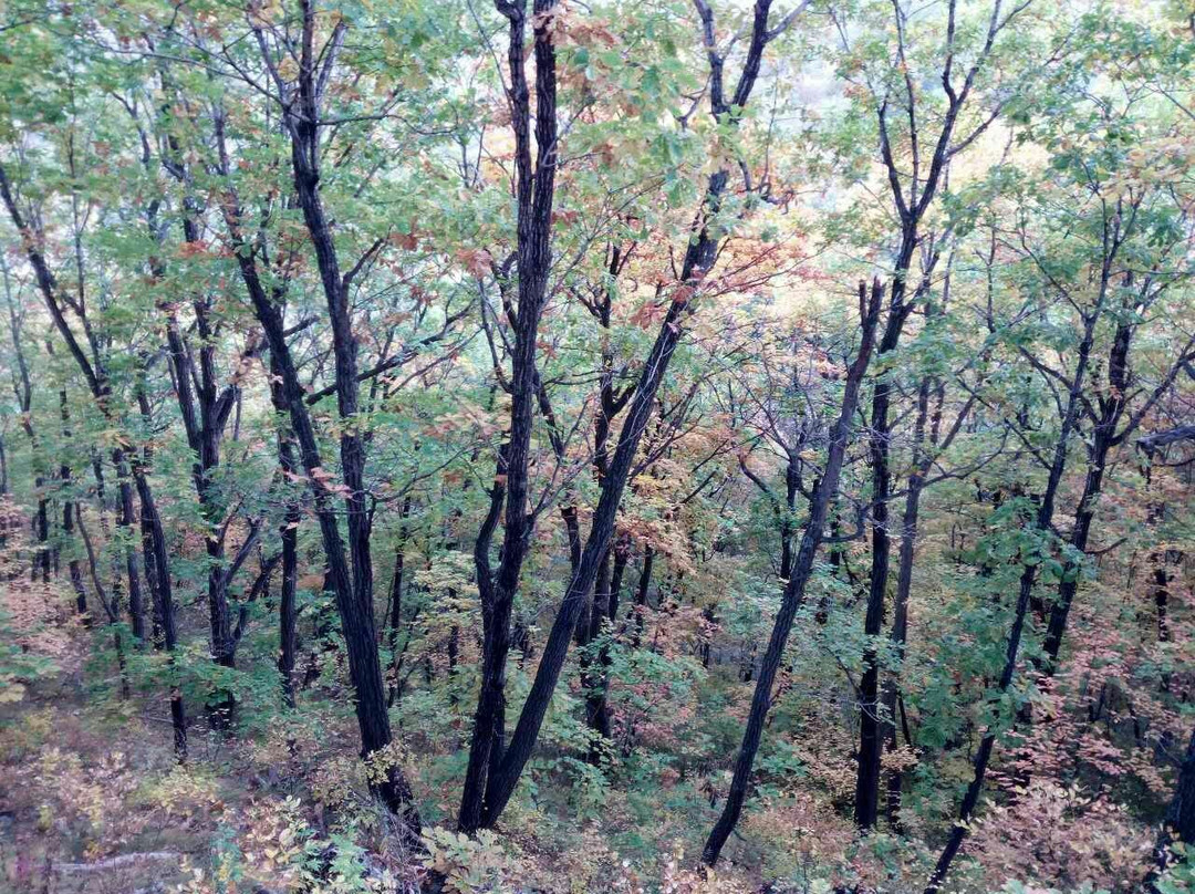 香炉山-宾县必去景点