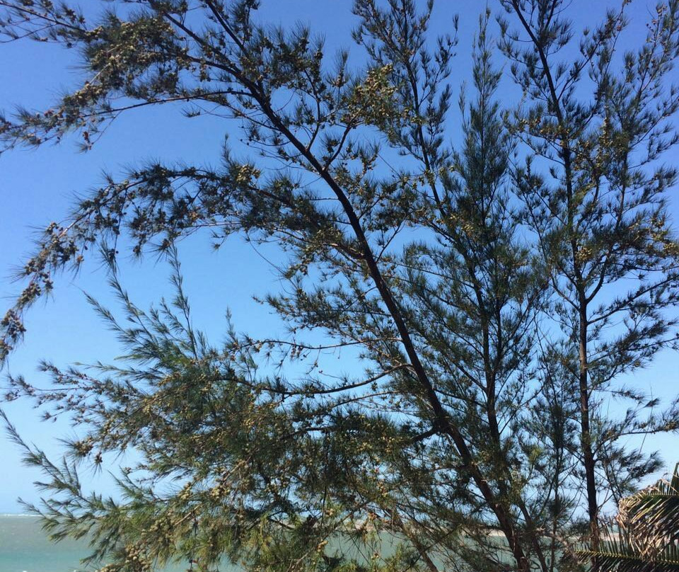 Praia das Barreiras-Camocim必去景点