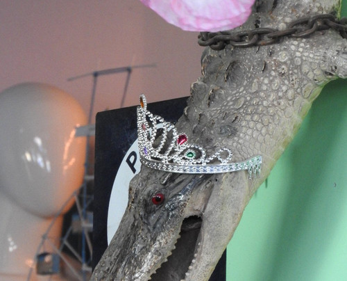 Sideshows by the Seashore-布鲁克林必去景点