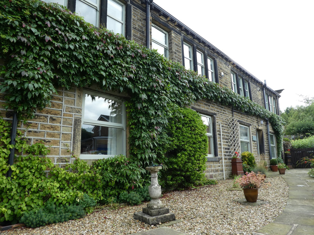 The Old Co-Op