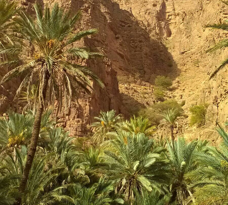 Nejma Morocco Tours-Hassilabied必去景点