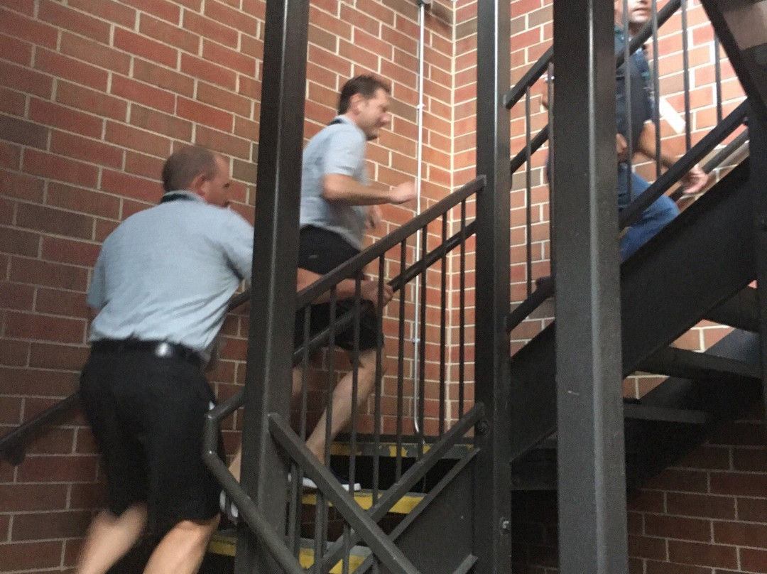 Wrigley Rooftops-芝加哥必去景点