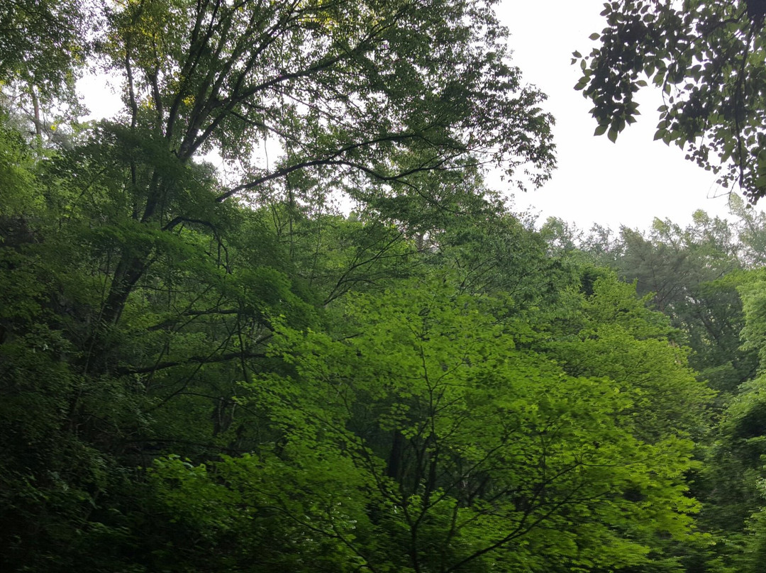 Gwanchang Fall-奉化郡必去景点